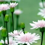 28国际:如何构建包容性的全球经济体系 lyh6ho