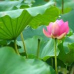 28国际娱乐的支付方式与提款流程详解 mw4z8sdkr8