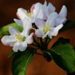 通过28圈H5实现个性化用户体验的策略 o4l39a7pn