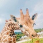 28国际娱乐:如何选择适合自己的游戏类型 p88r3koa73